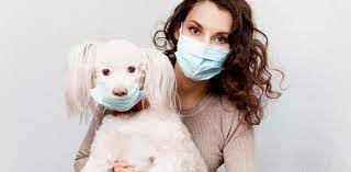 METALLICA, PERROS, COVID 19